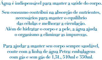 Texto